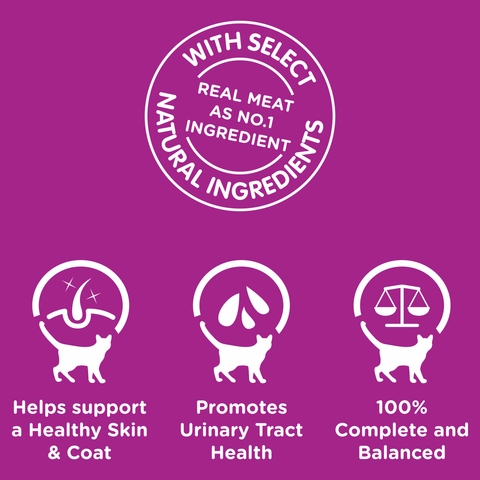 Wet Cat Food Adult So Meaty Meat Cuts Gravy