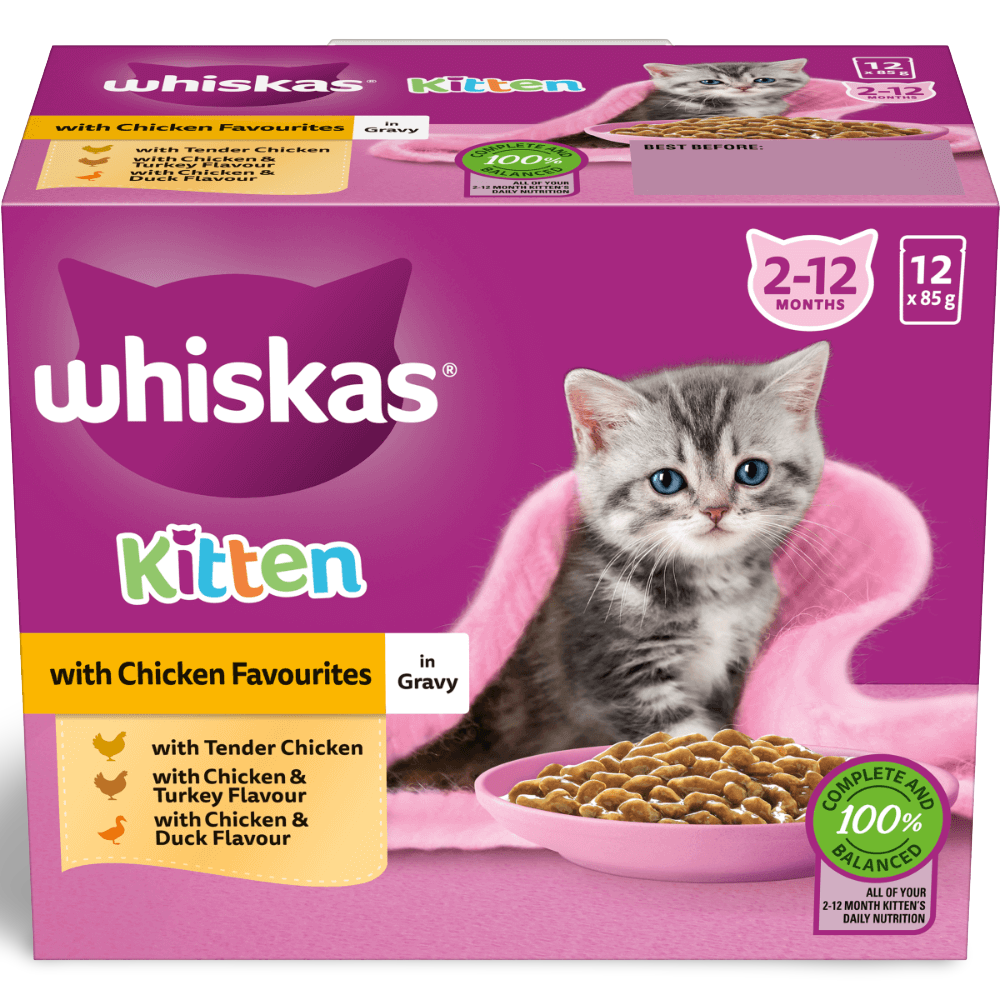 Wet Cat Food Kitten Chicken Pouches Gravy