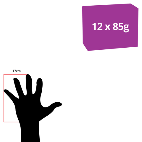 Wet Cat Food Kitten Chicken Pouches Gravy