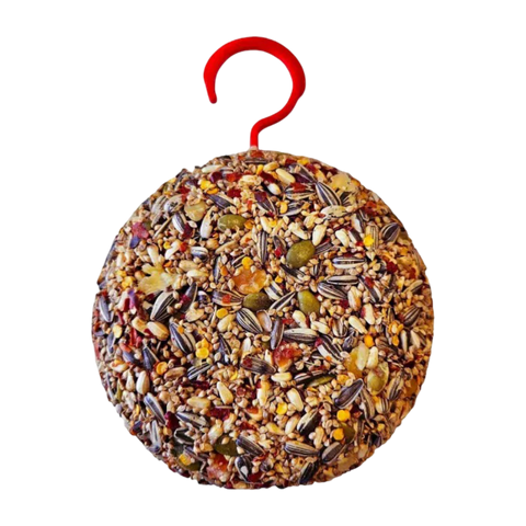 Cockatiel And Lovebird Hanging Pod Treat Fruit And Spice