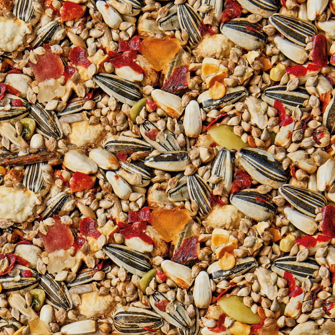 Cockatiel And Lovebird Fruit And Spice Health Bar Treat