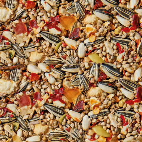 Cockatiel And Lovebird Fruit And Spice Health Bar Treat