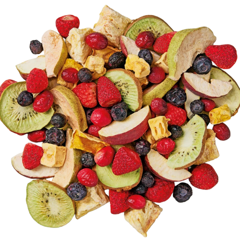 Large Parrot Freeze Dried Tropical Fruit Salad Medley Treats