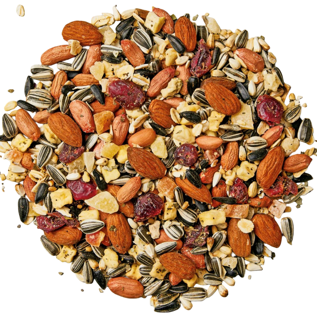Large Parrot Gourmet Fruit Nut And Herb Blend Food
