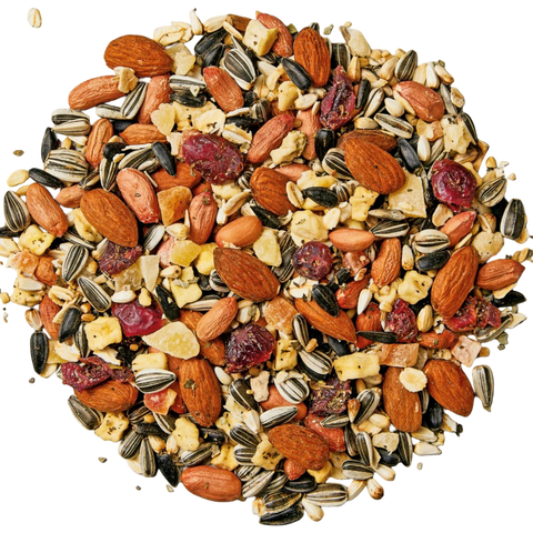 Large Parrot Gourmet Fruit Nut And Herb Blend Food