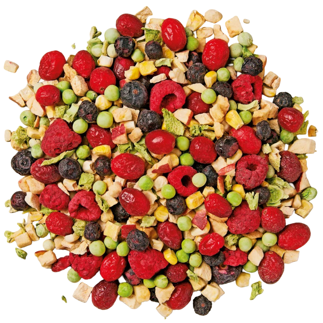 Small And Medium Parrot Freeze Dried Medley Treats