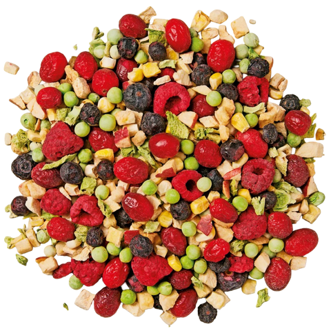 Small And Medium Parrot Freeze Dried Medley Treats