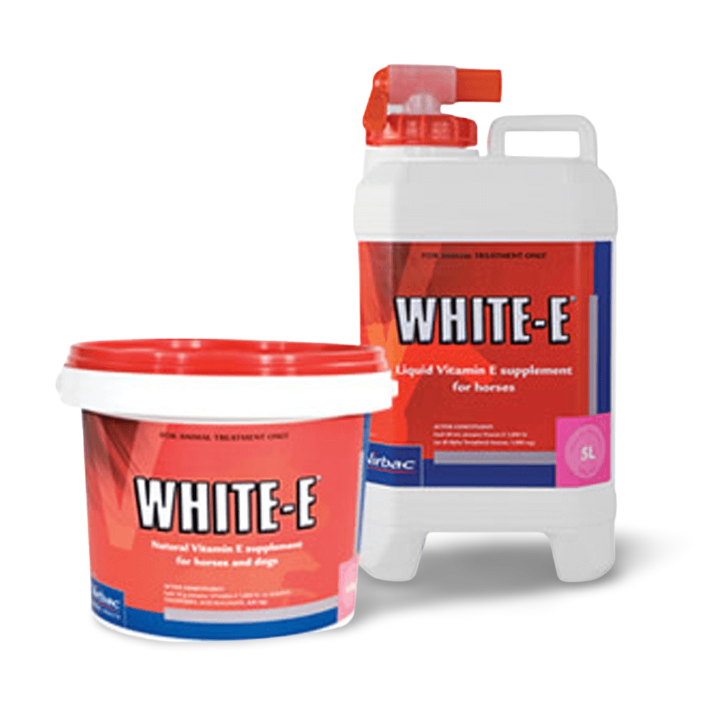 White E Liquid Horse Supplement
