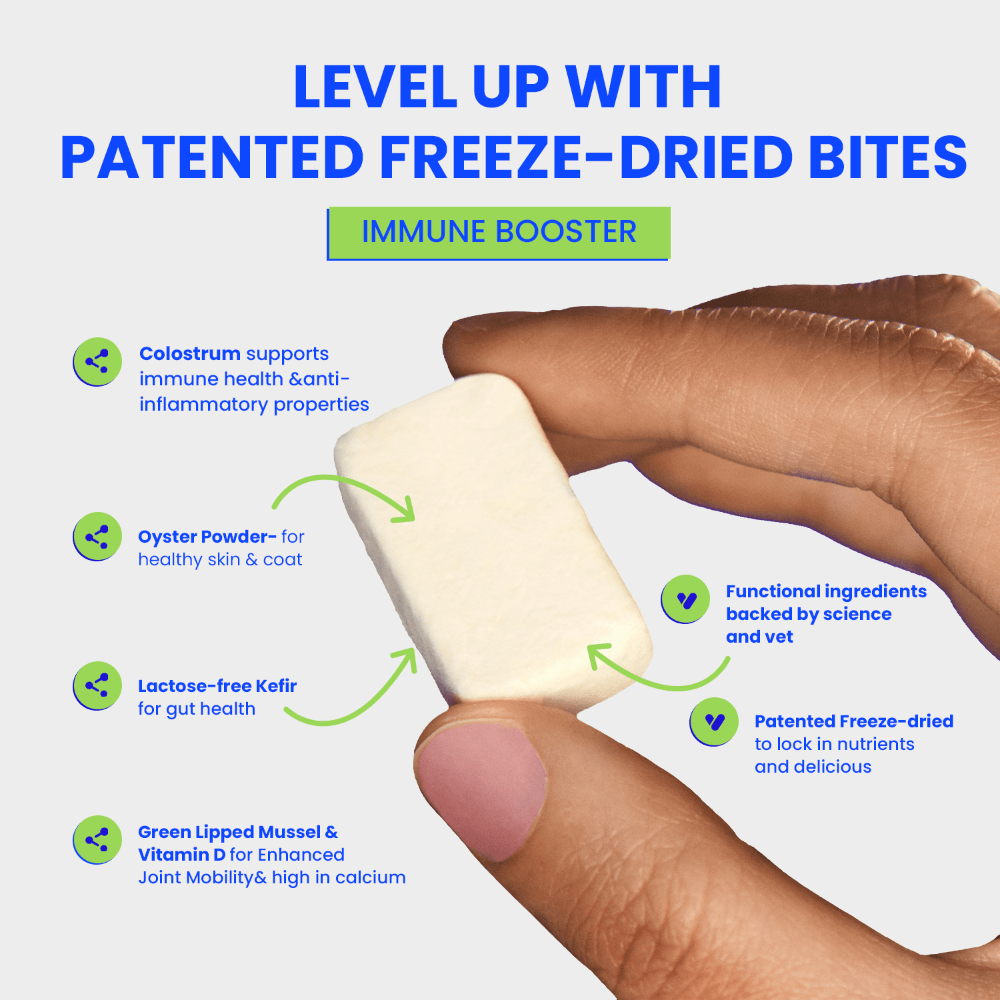 Bites Immune Booster Cat Probiotic Yogurt Freeze Dried Chews