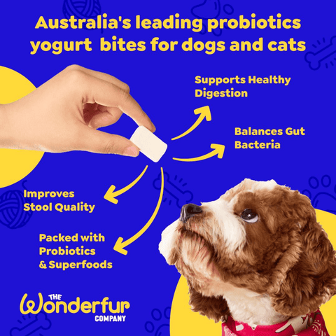 Bites Immune Booster Dog Probiotic Yogurt Freeze Dried Chews