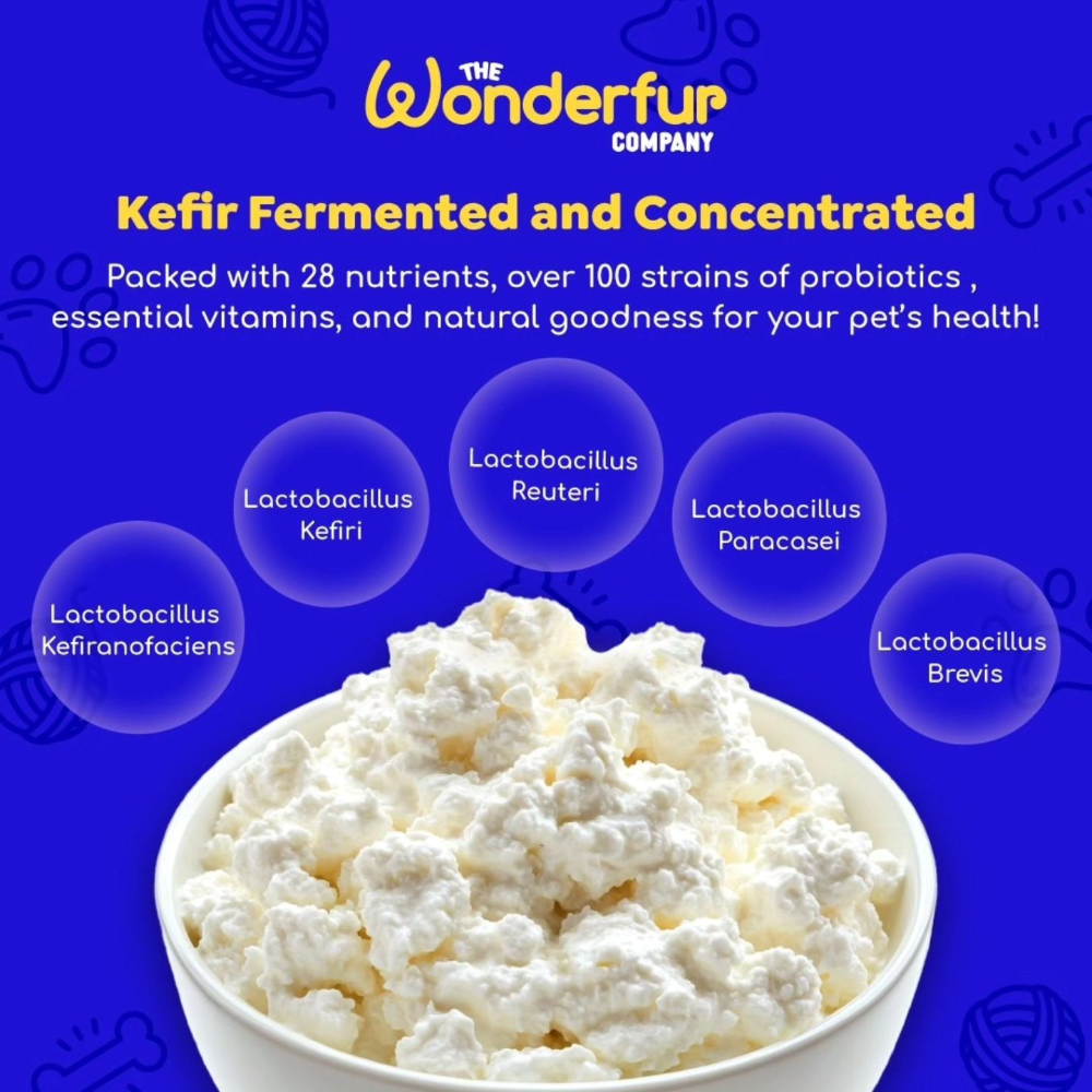 Bites Senior Support Dog Probiotic Yogurt Freeze Dried Chews