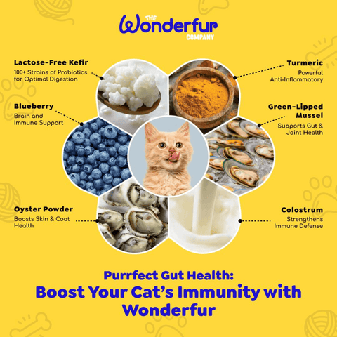 Bites Senior Support Cat Probiotic Yogurt Freeze Dried Chews