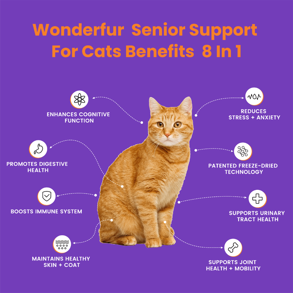 Bites Senior Support Cat Probiotic Yogurt Freeze Dried Chews