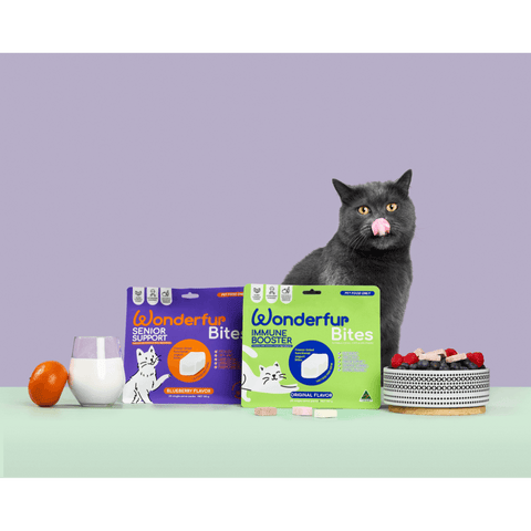 Bites Senior Support Cat Probiotic Yogurt Freeze Dried Chews