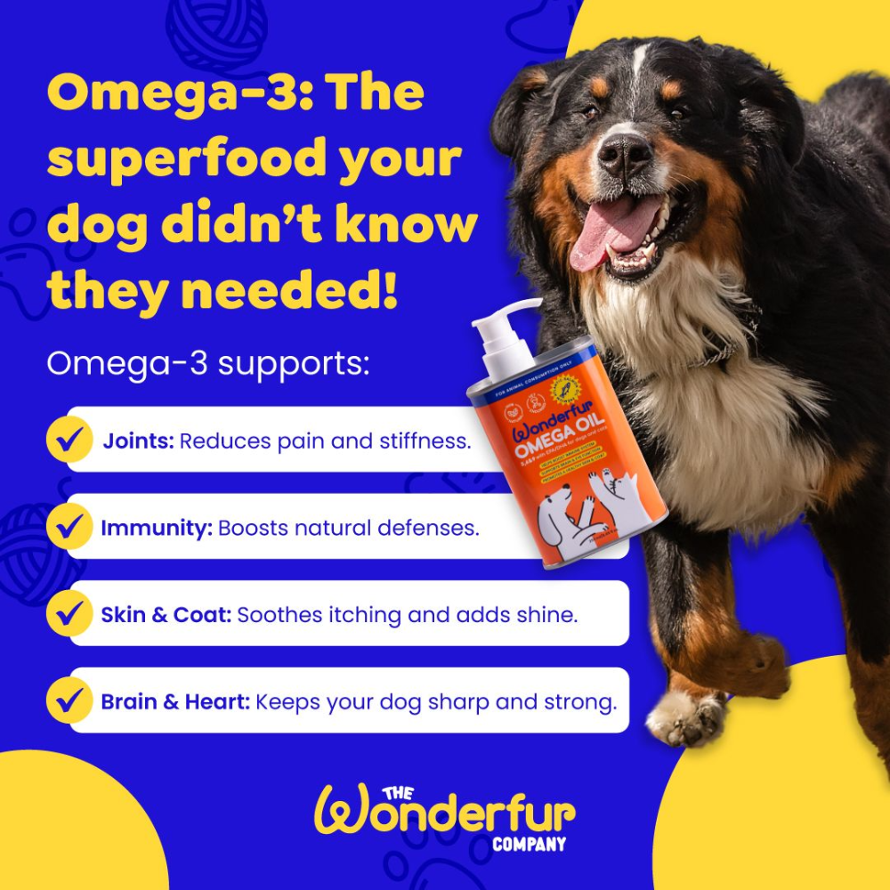 Tasmanian Atlantic Salmon Super Omega Oil For Dogs & Cats