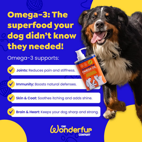 Tasmanian Atlantic Salmon Super Omega Oil For Dogs & Cats