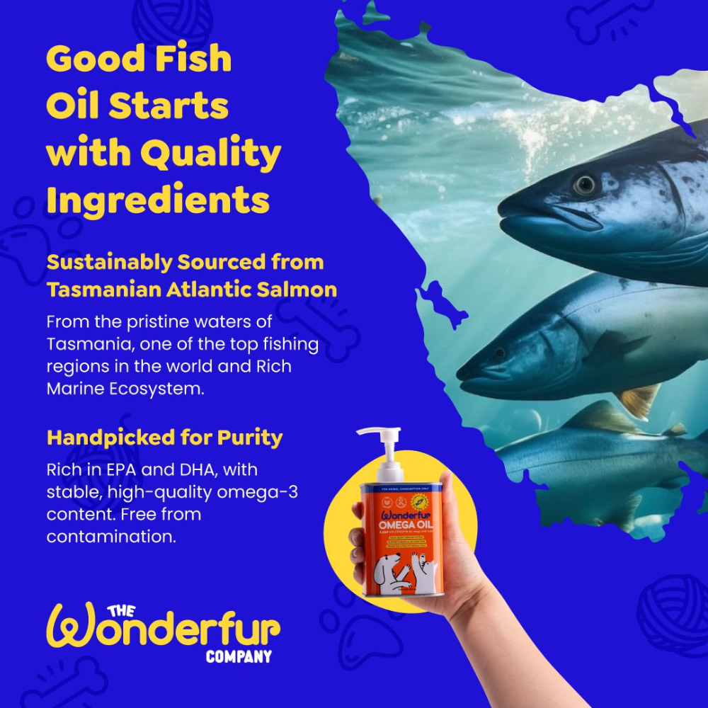 Tasmanian Atlantic Salmon Super Omega Oil For Dogs & Cats