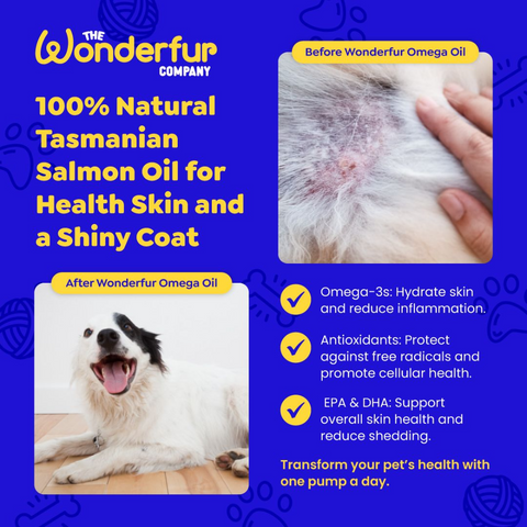 Tasmanian Atlantic Salmon Super Omega Oil For Dogs & Cats