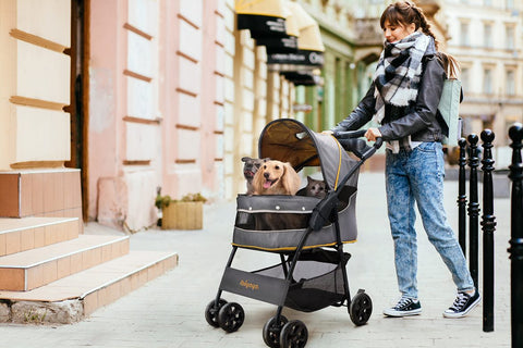 Ibiyaya Comfortable Cloud 9 Dog Cat Pet Stroller