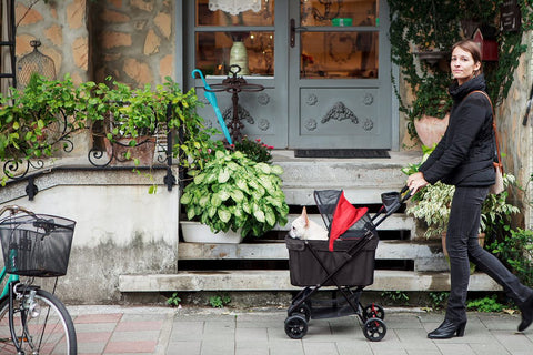 Ibiyaya Easy Strolling Pet Buggy Travel Carriage