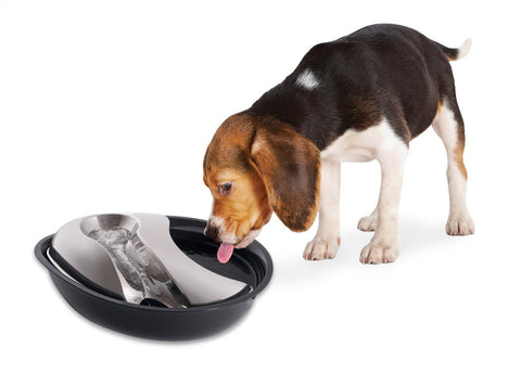 Pioneer Pet RainDrop Plastic/Stainless Steel Drinking Fountain 1.7 Litres