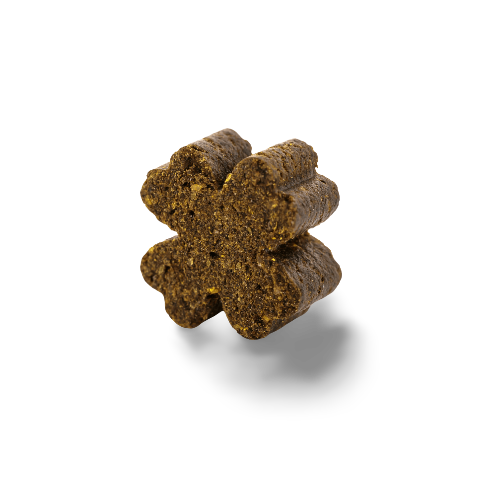 Complete Care Multi Chews for Dogs