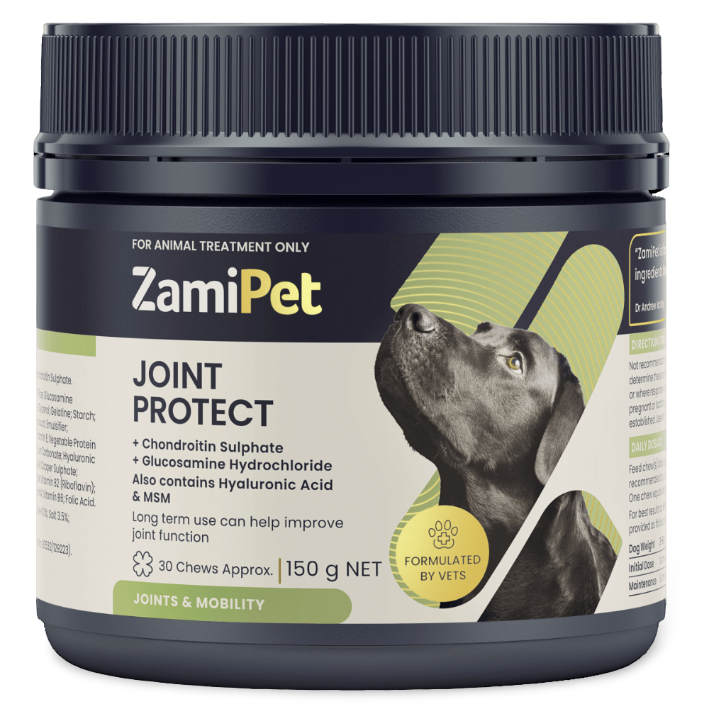 Joint Protect Chews for Dogs