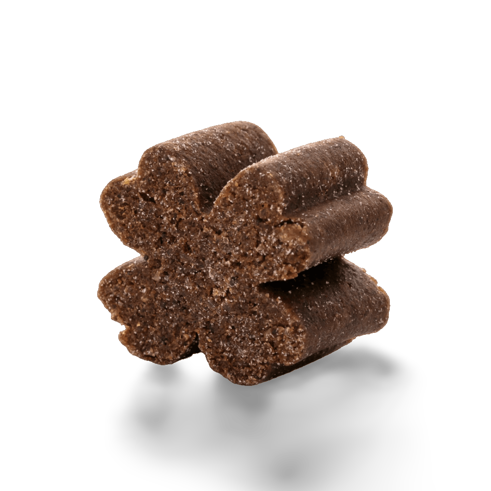 Joint Protect Chews for Dogs