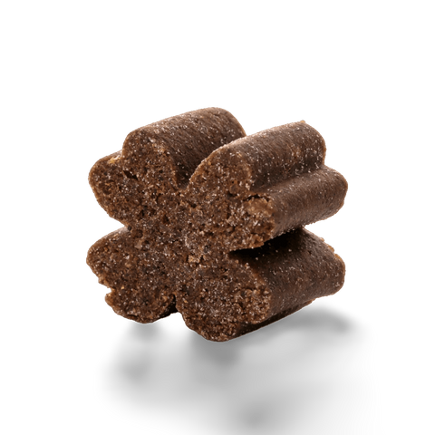 Joint Protect Chews for Dogs