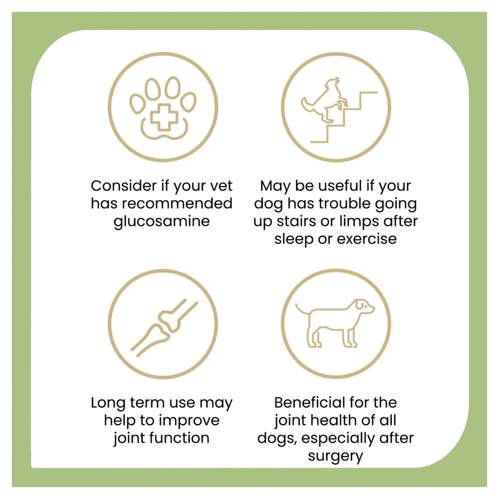 Joint Protect Chews for Dogs