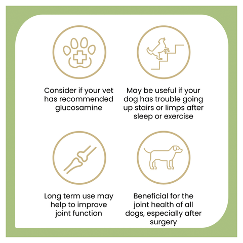Joint Protect Chews for Dogs