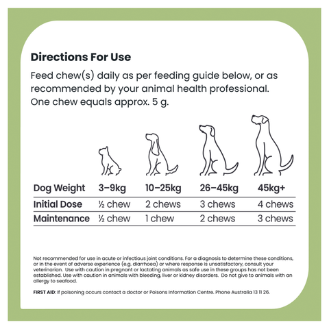 Joint Protect Chews for Dogs