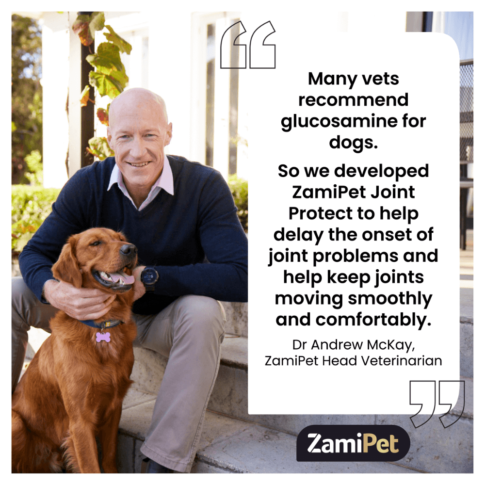 Joint Protect Chews for Dogs
