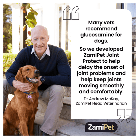Joint Protect Chews for Dogs