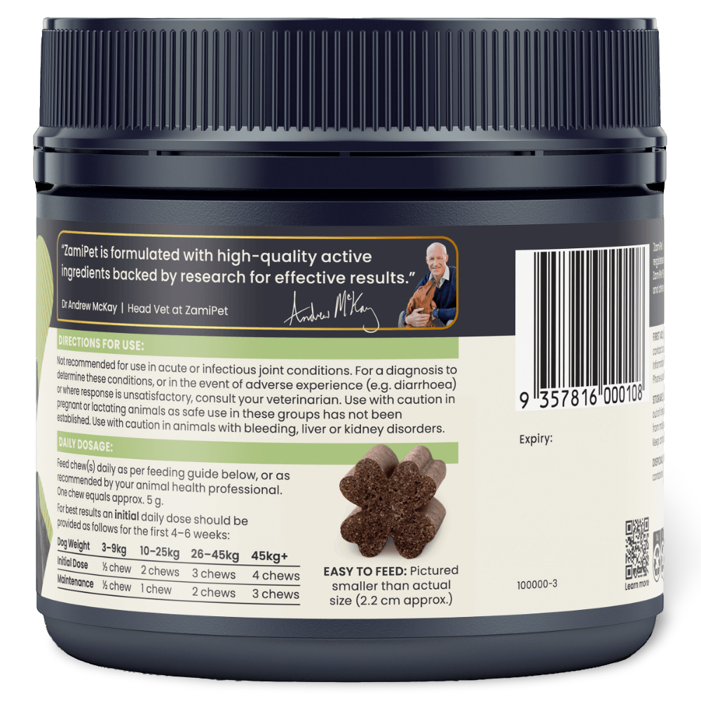 Joint Protect Chews for Dogs