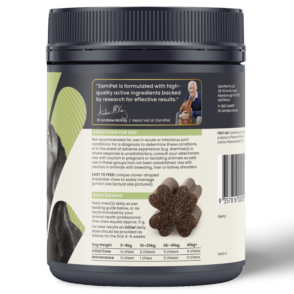 Joint Protect Chews for Dogs