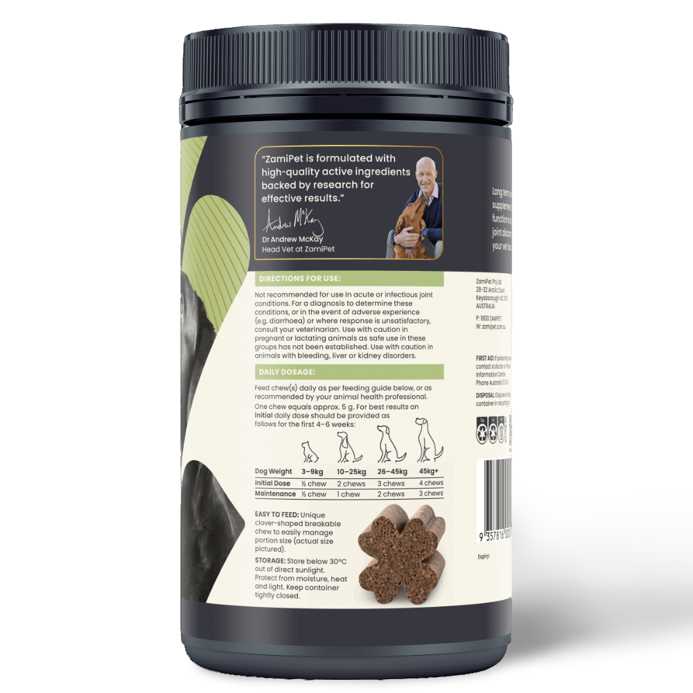 Joint Protect Chews for Dogs