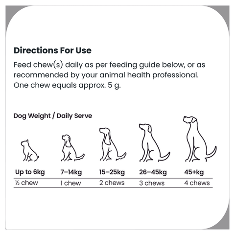Dog Chews Senior Support