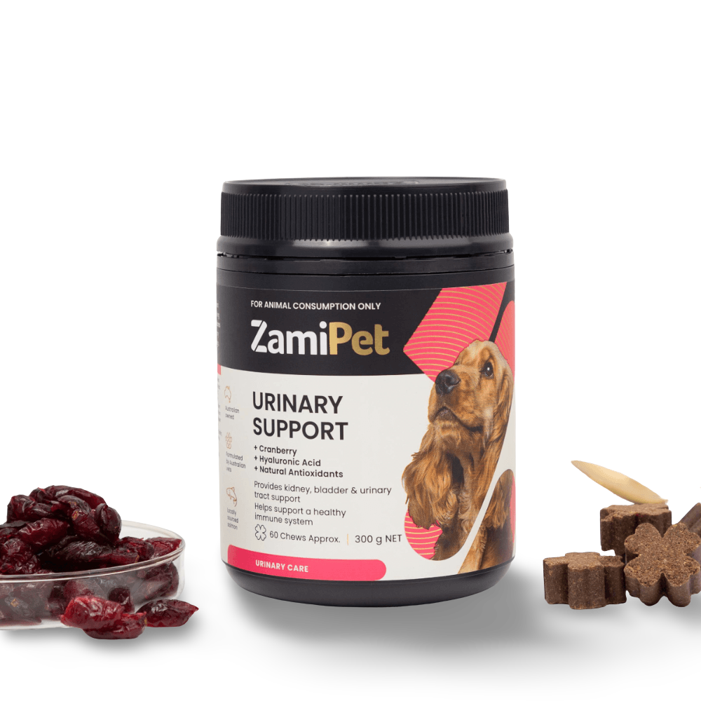 Urinary Support Chews for Dogs