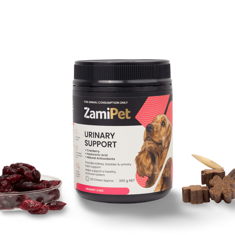 Urinary Support Chews for Dogs
