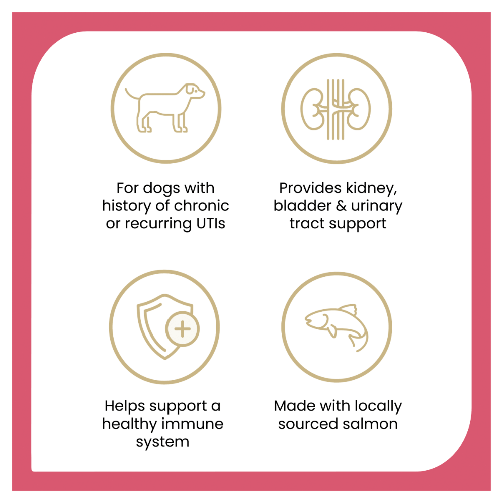 Urinary Support Chews for Dogs