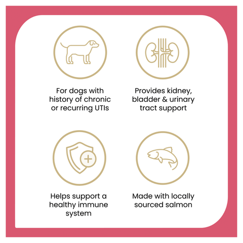 Urinary Support Chews for Dogs