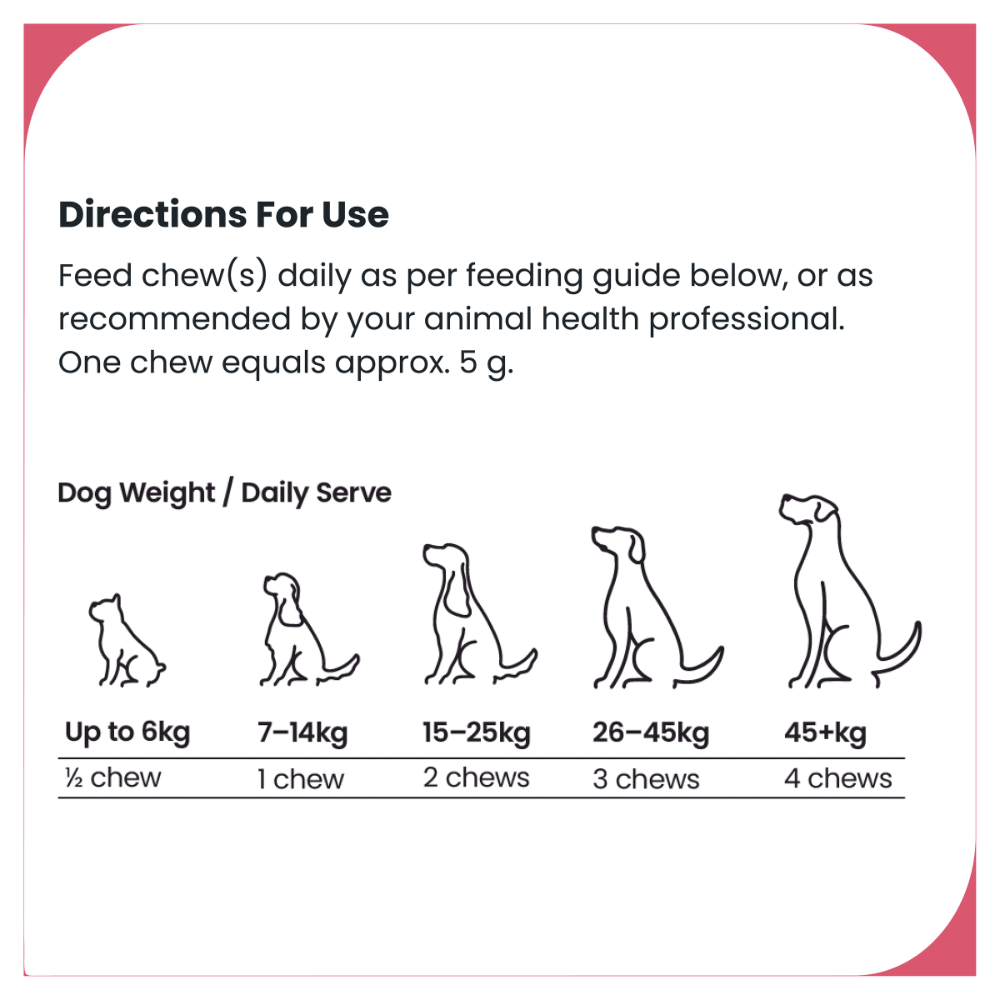 Urinary Support Chews for Dogs