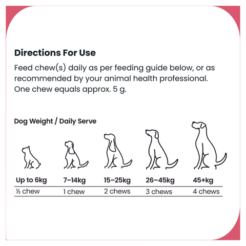 Urinary Support Chews for Dogs