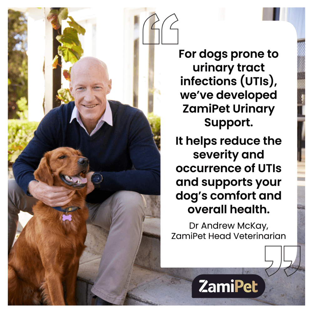 Urinary Support Chews for Dogs