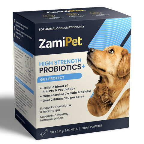 Dog High Strength Probiotics Plus Gut Protect