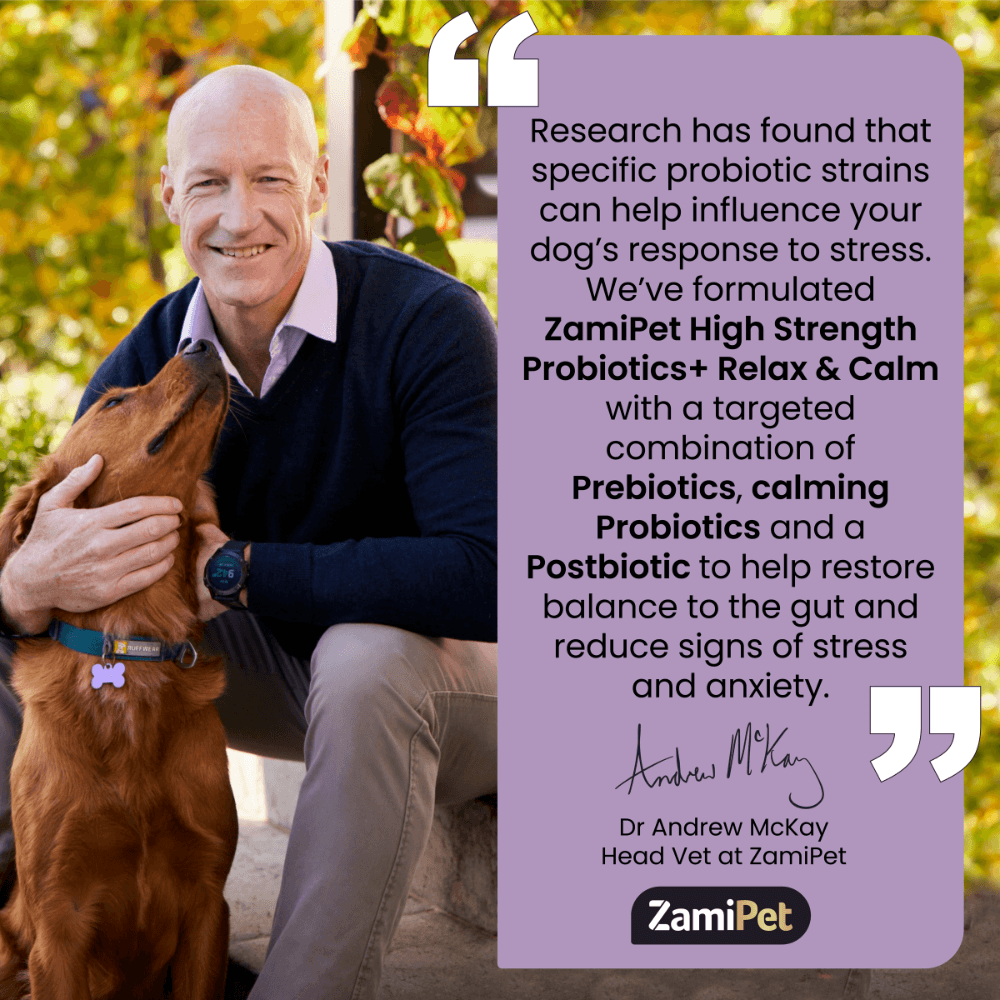 Dog High Strength Probiotics Plus Relax And Calm