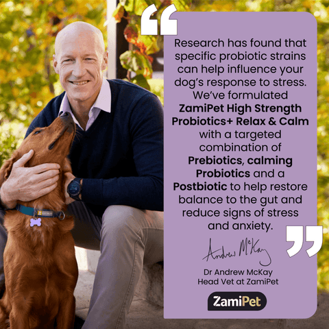Dog High Strength Probiotics Plus Relax And Calm
