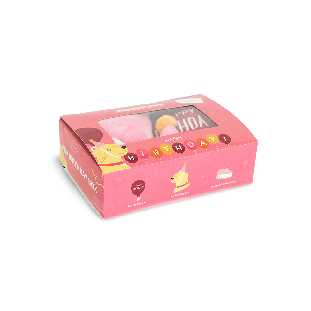 Birthday Box Dog Interactive Soft Toy Pink