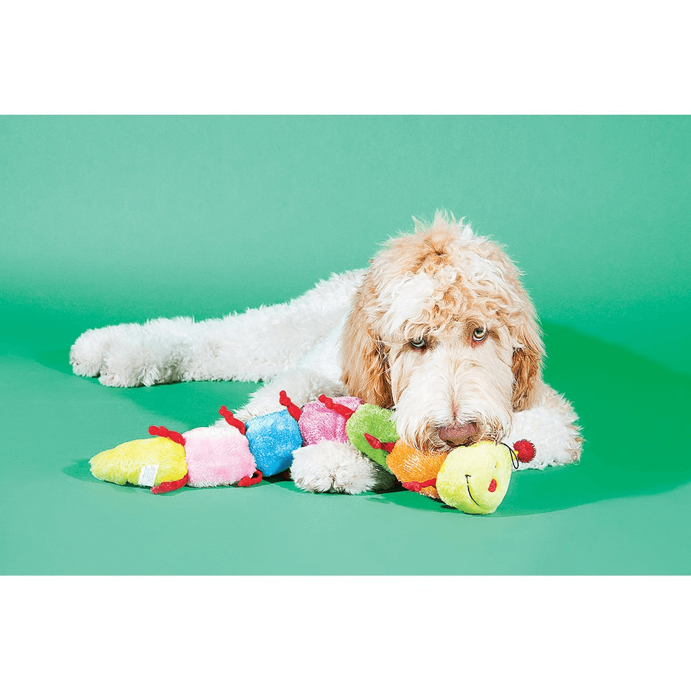 Caterpillar With Squeaker Soft Dog Toy